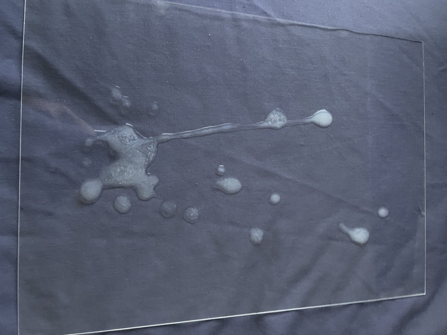 ucPA21yp LSFM Kazuh@ Kpop Cum Tribue 03.jpg